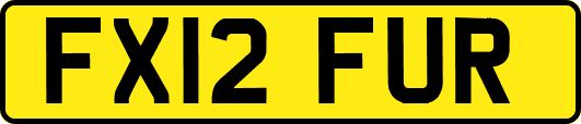 FX12FUR
