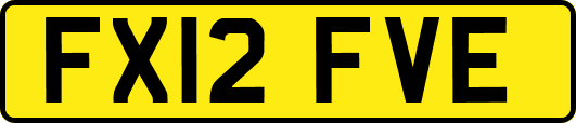 FX12FVE