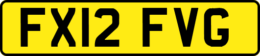 FX12FVG