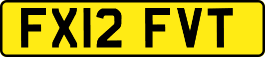 FX12FVT