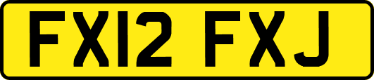 FX12FXJ