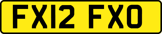 FX12FXO