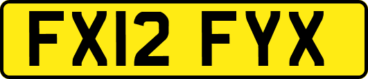 FX12FYX