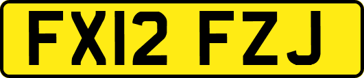 FX12FZJ