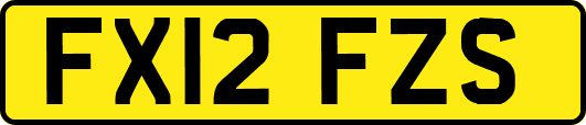 FX12FZS