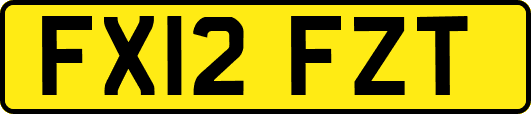 FX12FZT