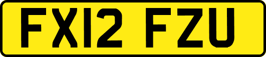 FX12FZU