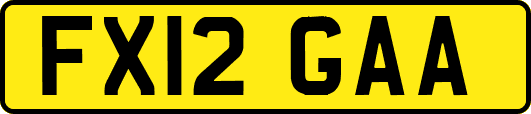 FX12GAA