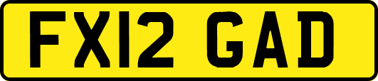 FX12GAD