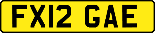 FX12GAE