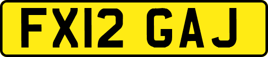 FX12GAJ