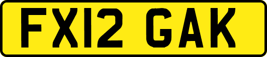 FX12GAK