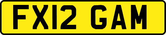 FX12GAM