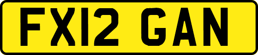 FX12GAN