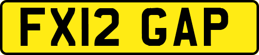 FX12GAP
