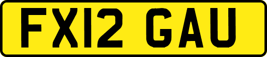 FX12GAU