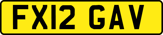 FX12GAV