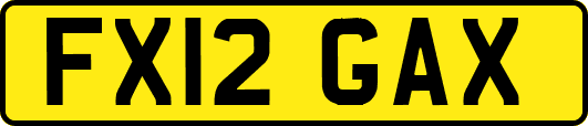 FX12GAX