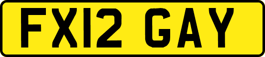 FX12GAY