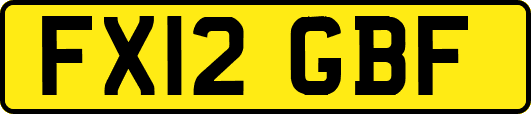 FX12GBF