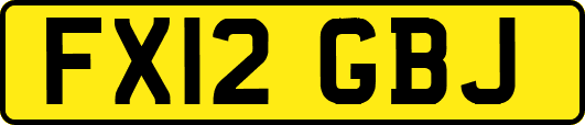 FX12GBJ