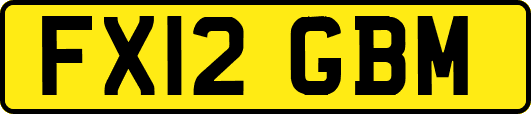 FX12GBM