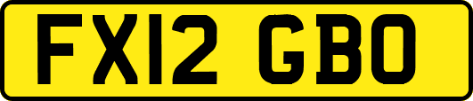 FX12GBO