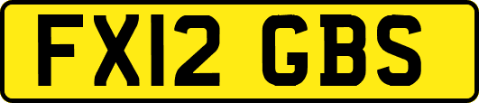 FX12GBS