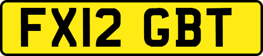 FX12GBT