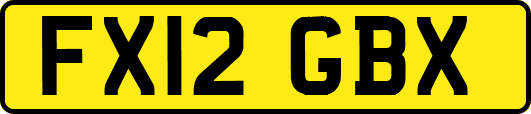 FX12GBX