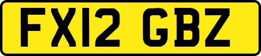 FX12GBZ