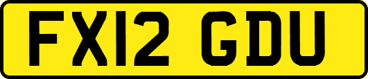 FX12GDU