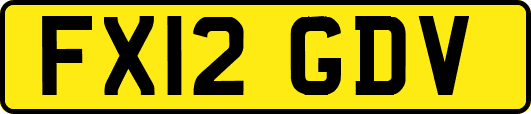 FX12GDV