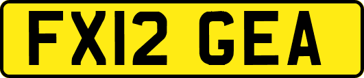FX12GEA