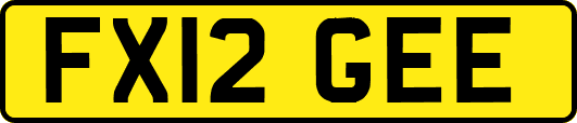 FX12GEE
