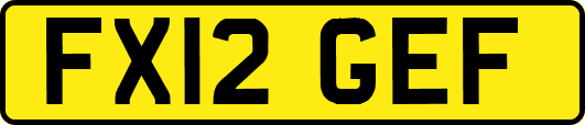 FX12GEF