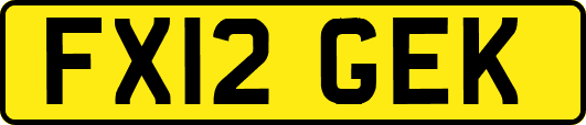 FX12GEK