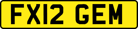 FX12GEM