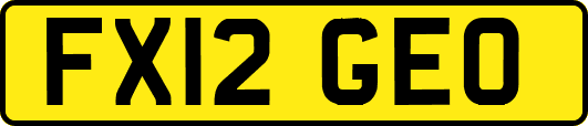 FX12GEO