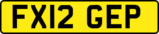 FX12GEP