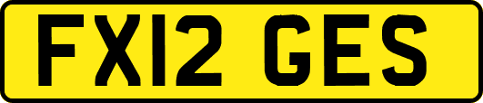 FX12GES