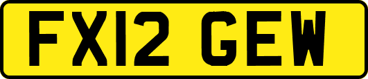 FX12GEW
