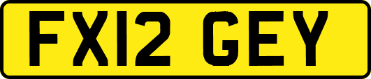 FX12GEY
