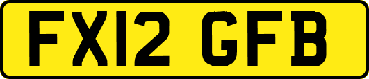 FX12GFB