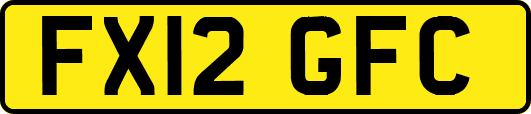 FX12GFC