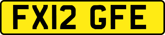 FX12GFE