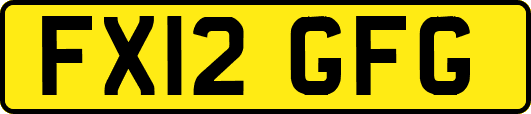 FX12GFG