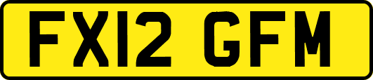 FX12GFM