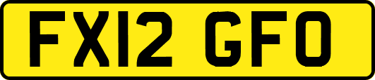 FX12GFO