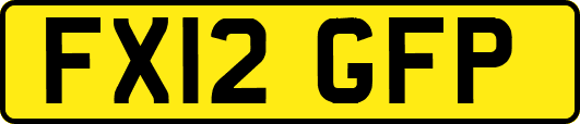 FX12GFP